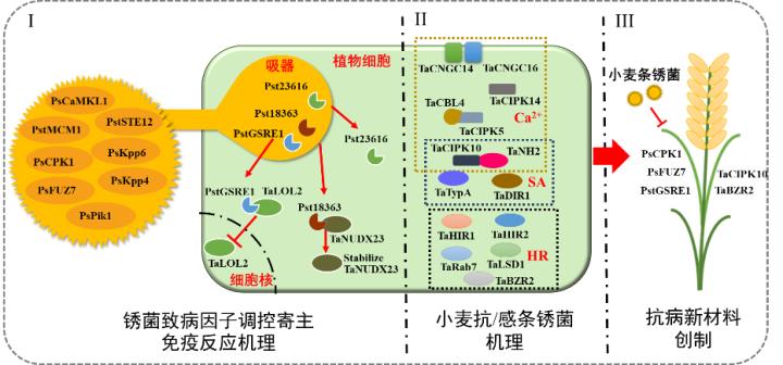 图片-720.jpg