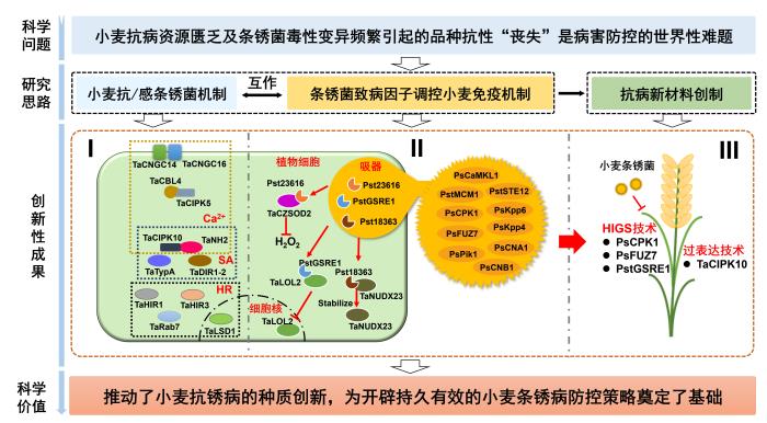 图片1-700.jpg